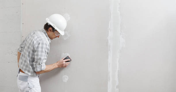 Best Commercial Mold Inspection  in USA